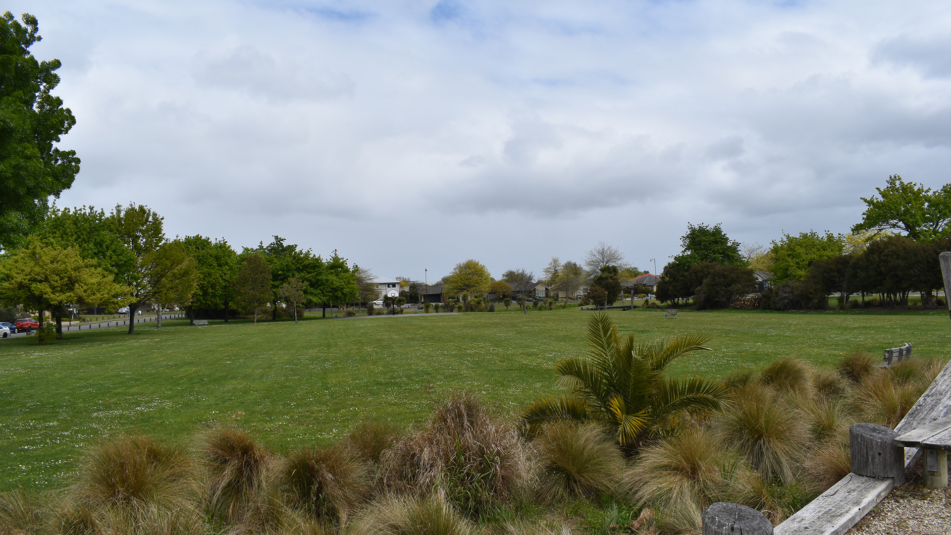 Open grassed reserve with trees and plantings under cloudy sky