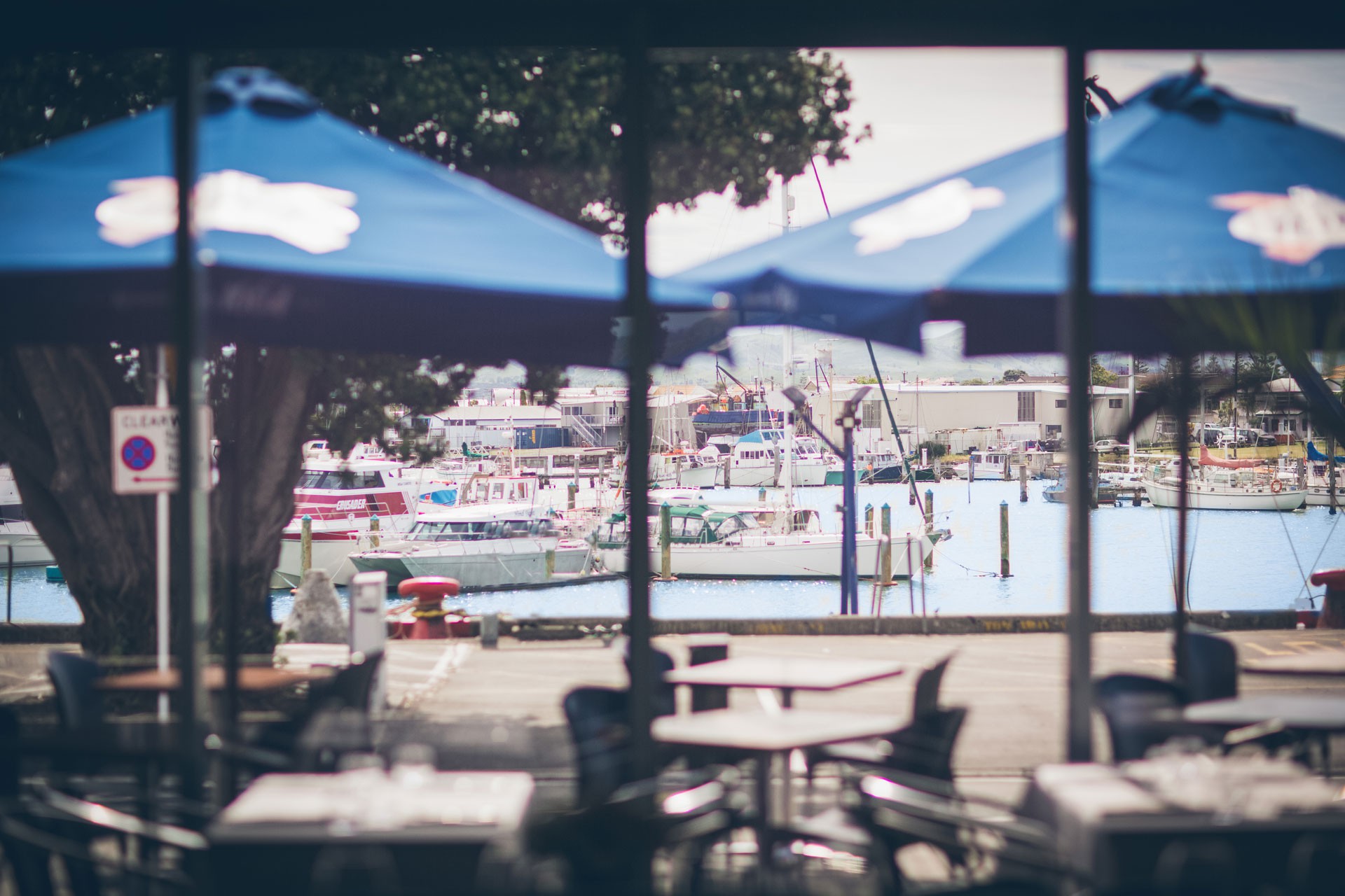 Outdoor terrace with blue parasols overlooking a marina with moored vessels