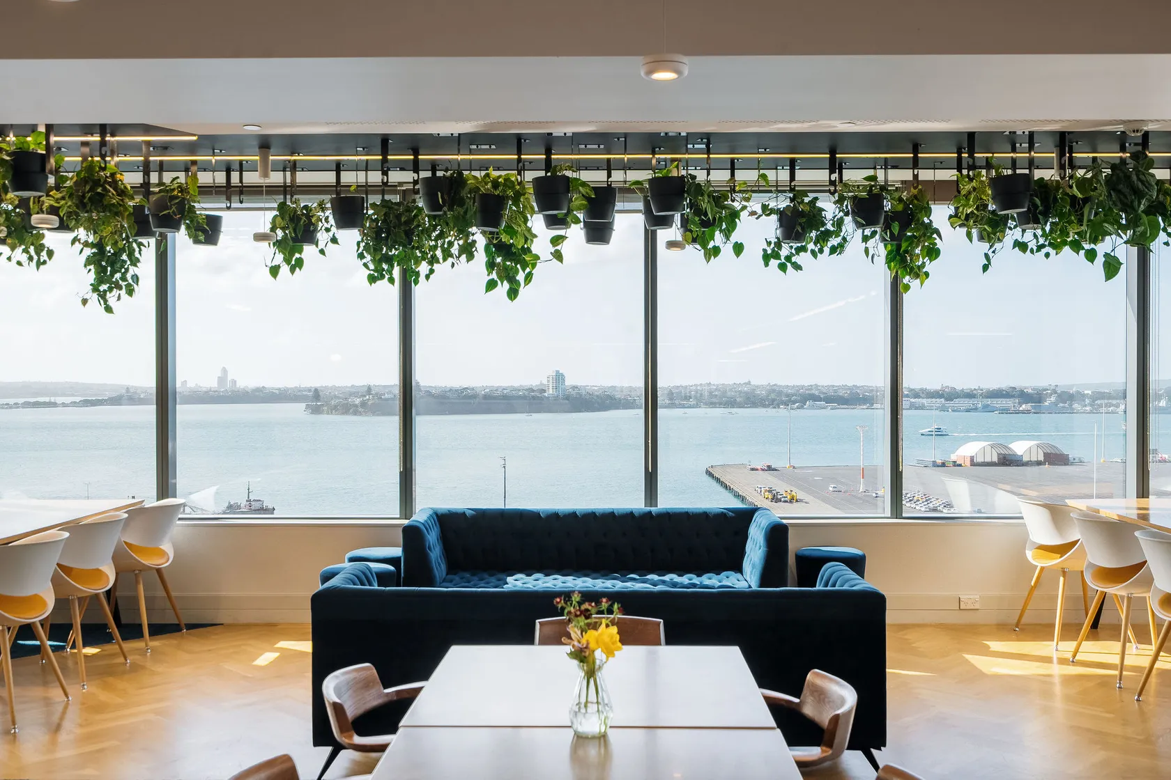 Upper-floor lounge with blue velvet sofa, hanging potted plants, and panoramic harbour view through full-height windows