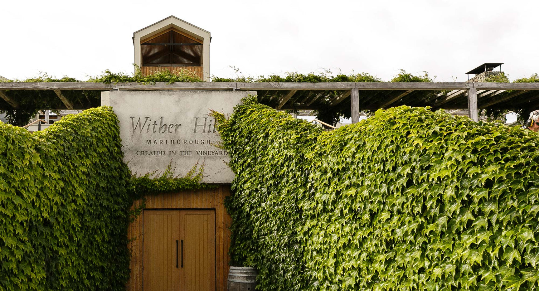 Winery building entrance covered in climbing vines