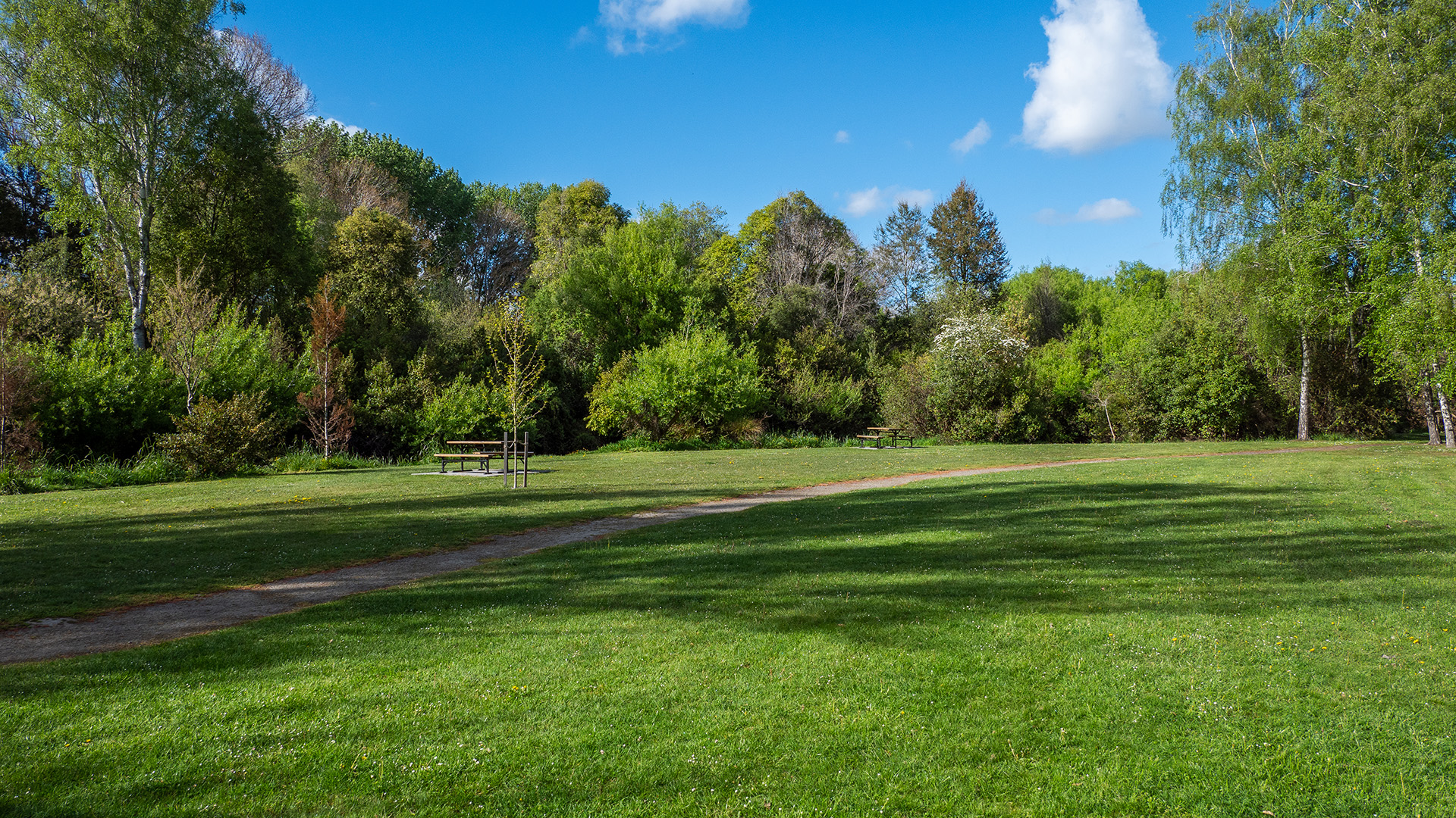 Open grassy park clearing with trees and a picnic bench