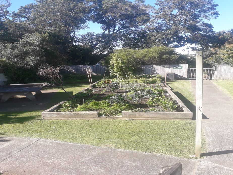 Garden beds with raised planters and picnic table beside fence and trees