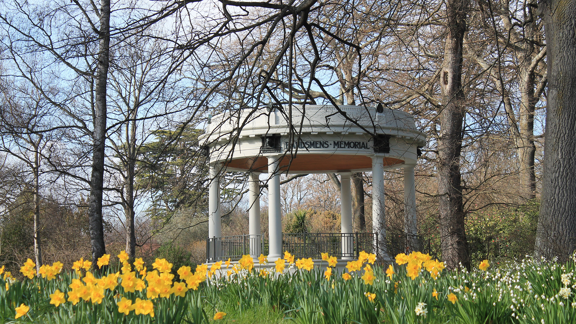 Neoclassical rotunda bandstand surrounded by daffodils and bare trees