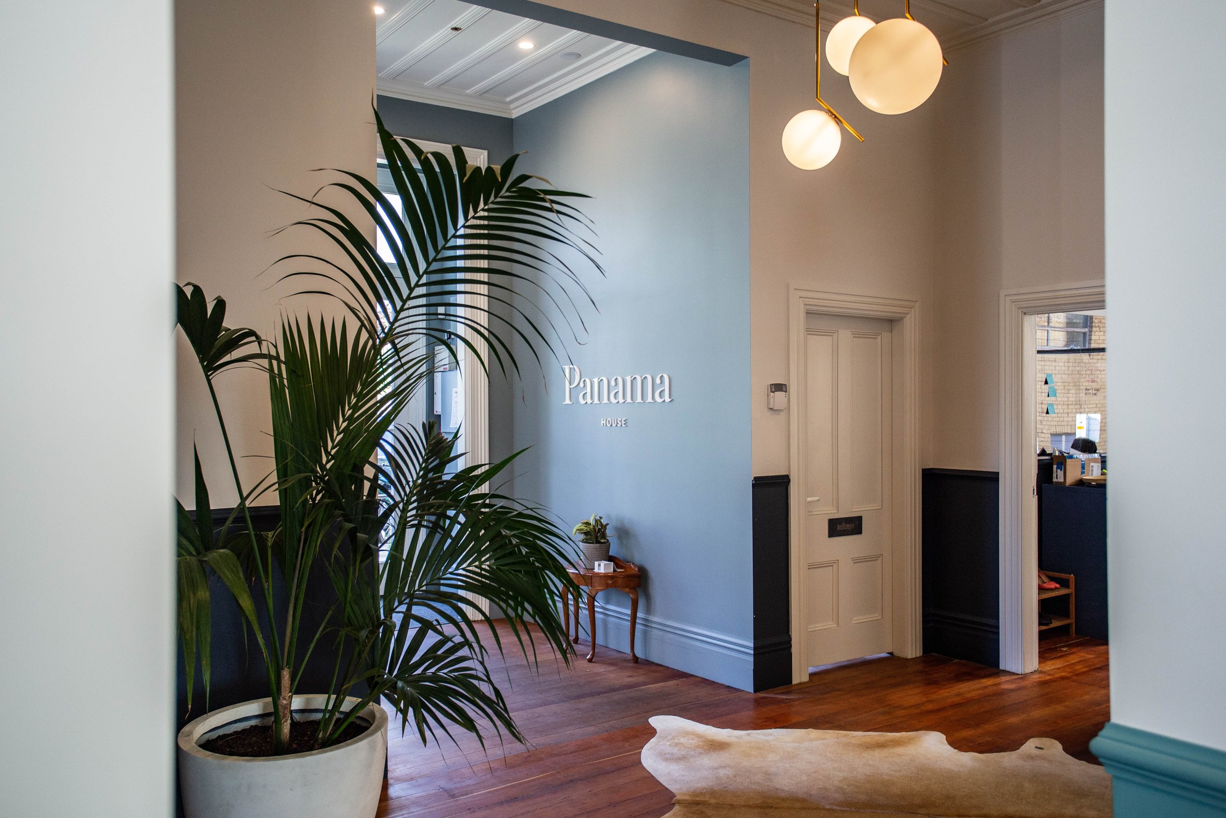 Blue-painted hallway interior with timber floors, large indoor plant, globe pendant lights, and white corniced ceilings