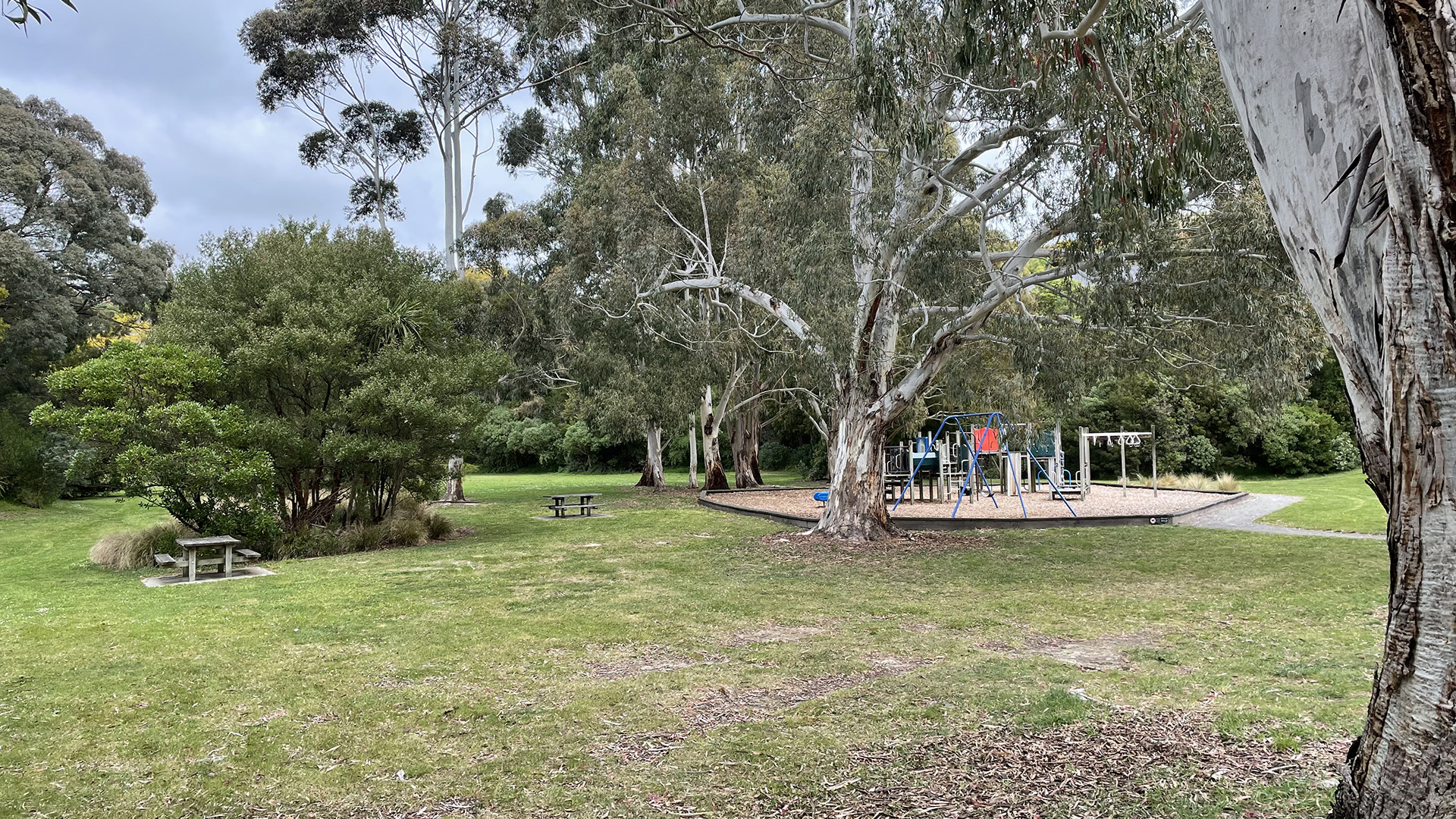 Park with large trees, grass lawn, picnic tables and playground
