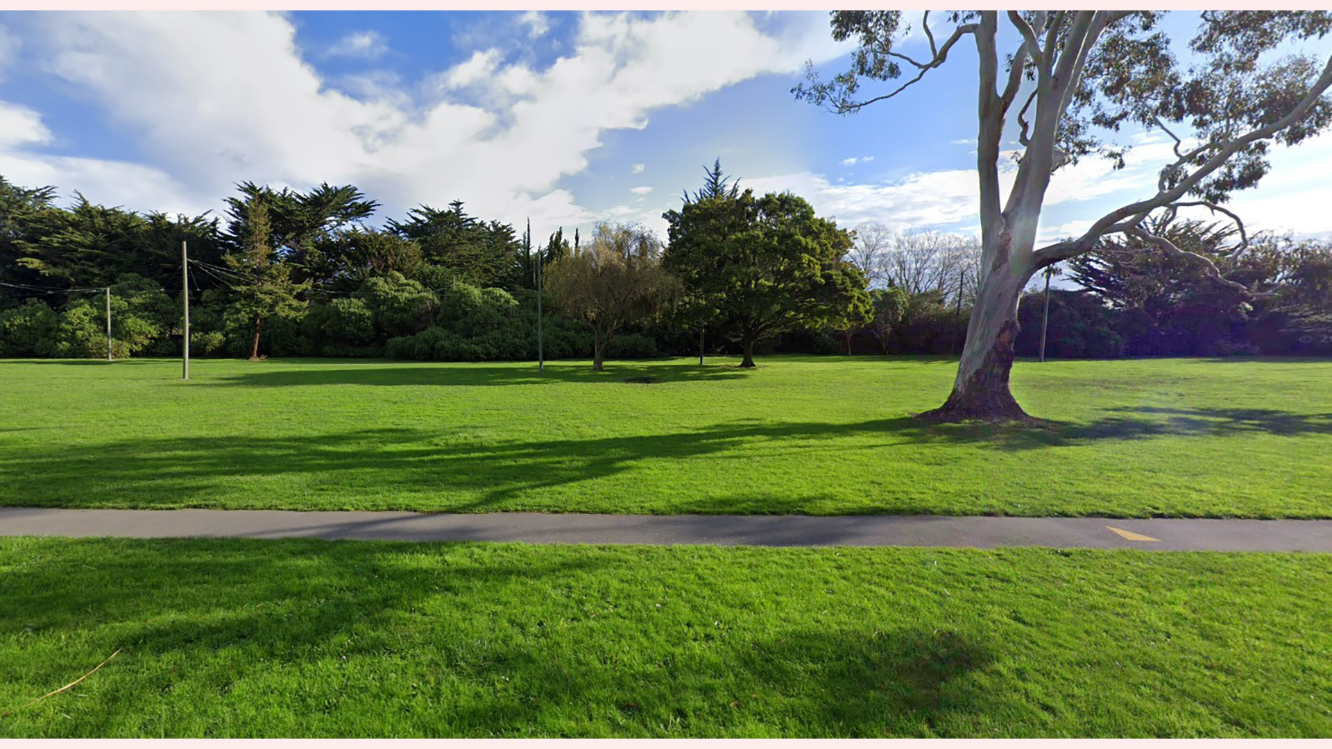 Open grass reserve with mature trees and path