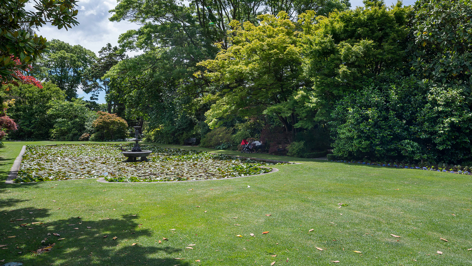 Formal garden with a lily pond, central fountain, and trees on a sunny day