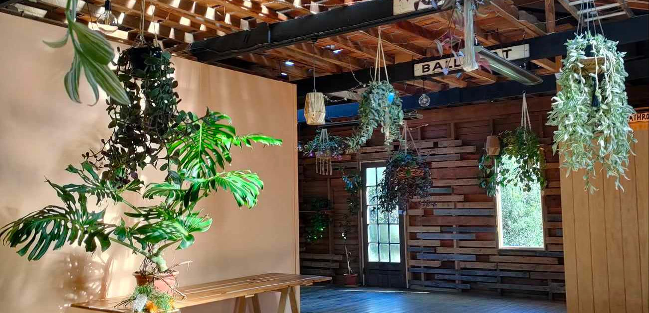 Timber-clad barn interior with exposed rafters, hanging plants and pallet wall feature