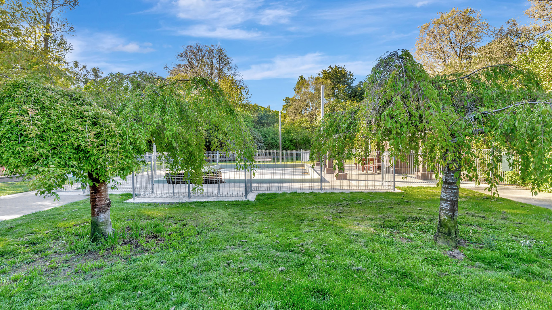 Grass lawn area with weeping trees and fenced court beyond