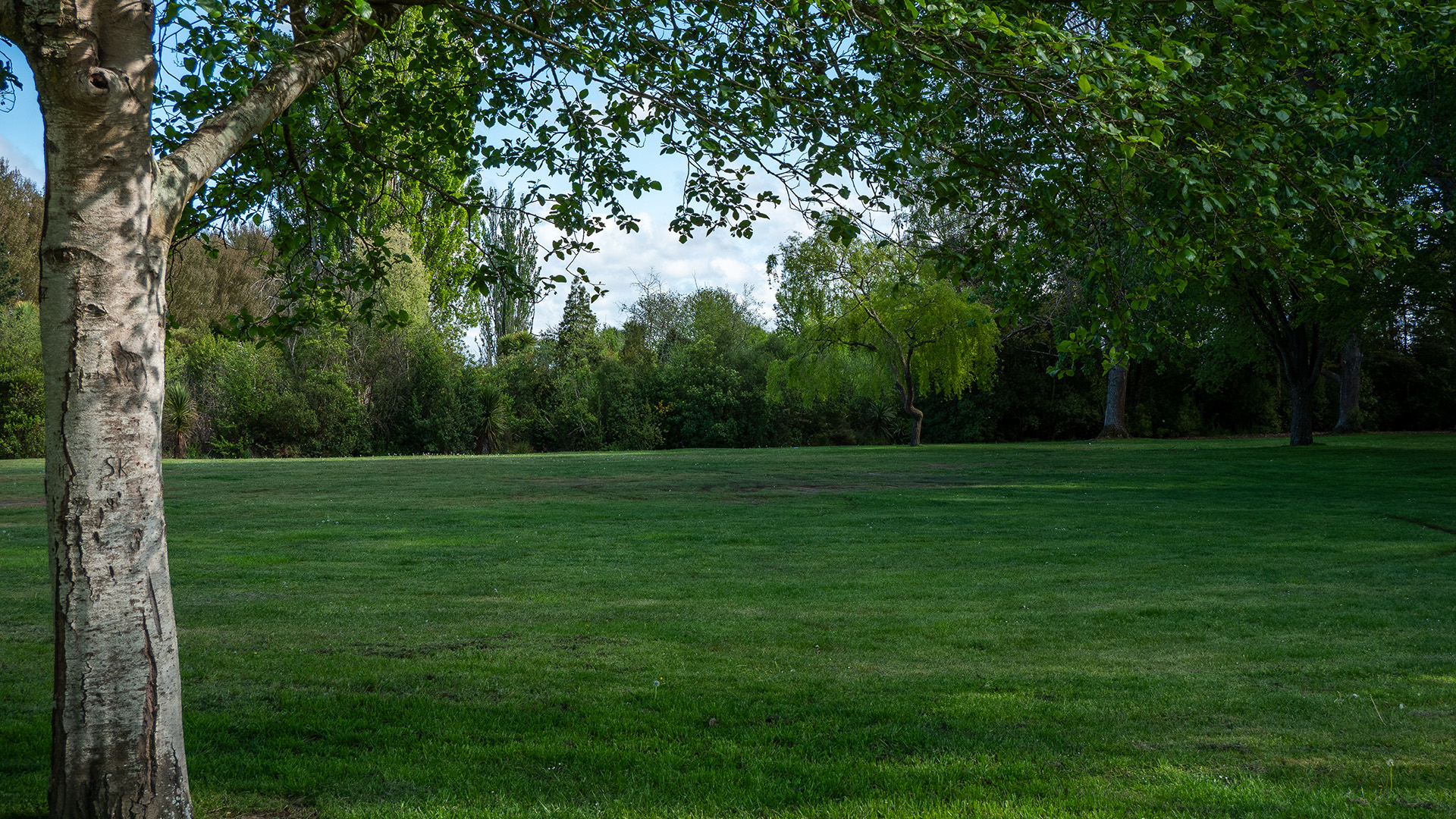 Open grass lawn with trees and picnic tables beside a path