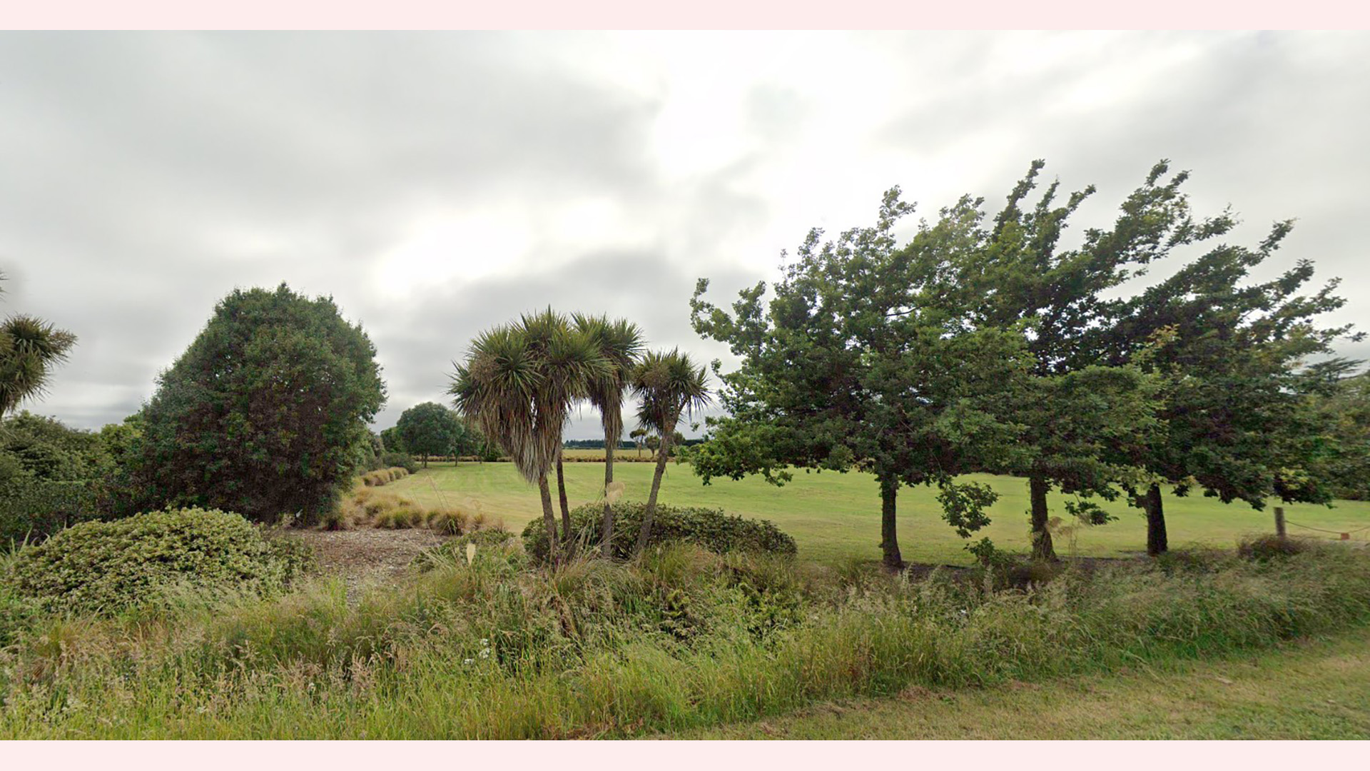 Open grassed reserve with trees and planting, overcast sky