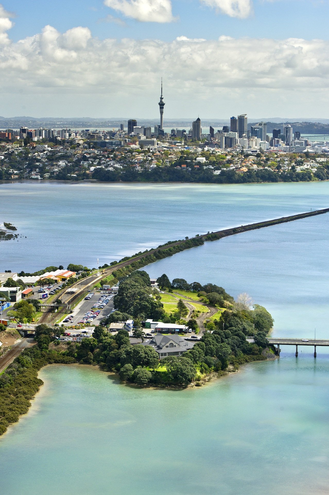 Aerial view of a tree-covered waterfront venue with city skyline in background