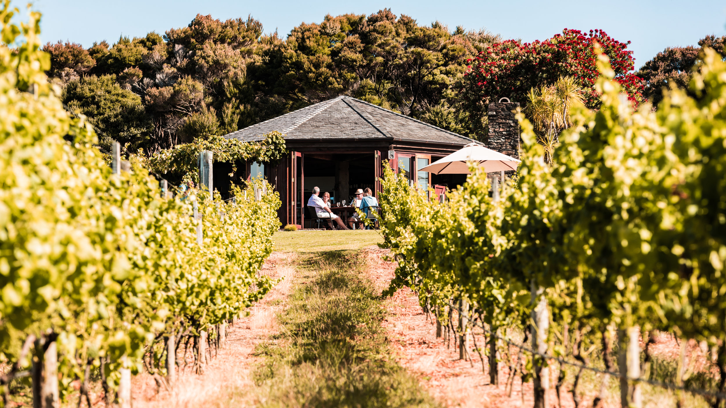 Dark timber pavilion amid vineyard rows with trees beyond, people seated outside under umbrella