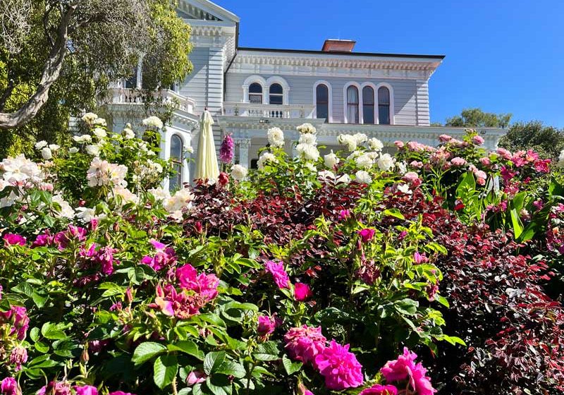 Dense garden border of pink and white blooms with ornate Victorian facade in background