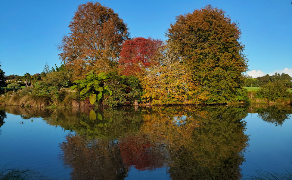 Lake with autumn trees reflected in water