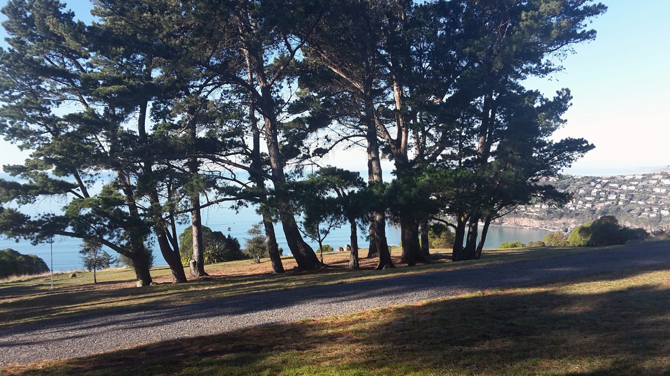 Grassed reserve with trees and ocean view visible in background