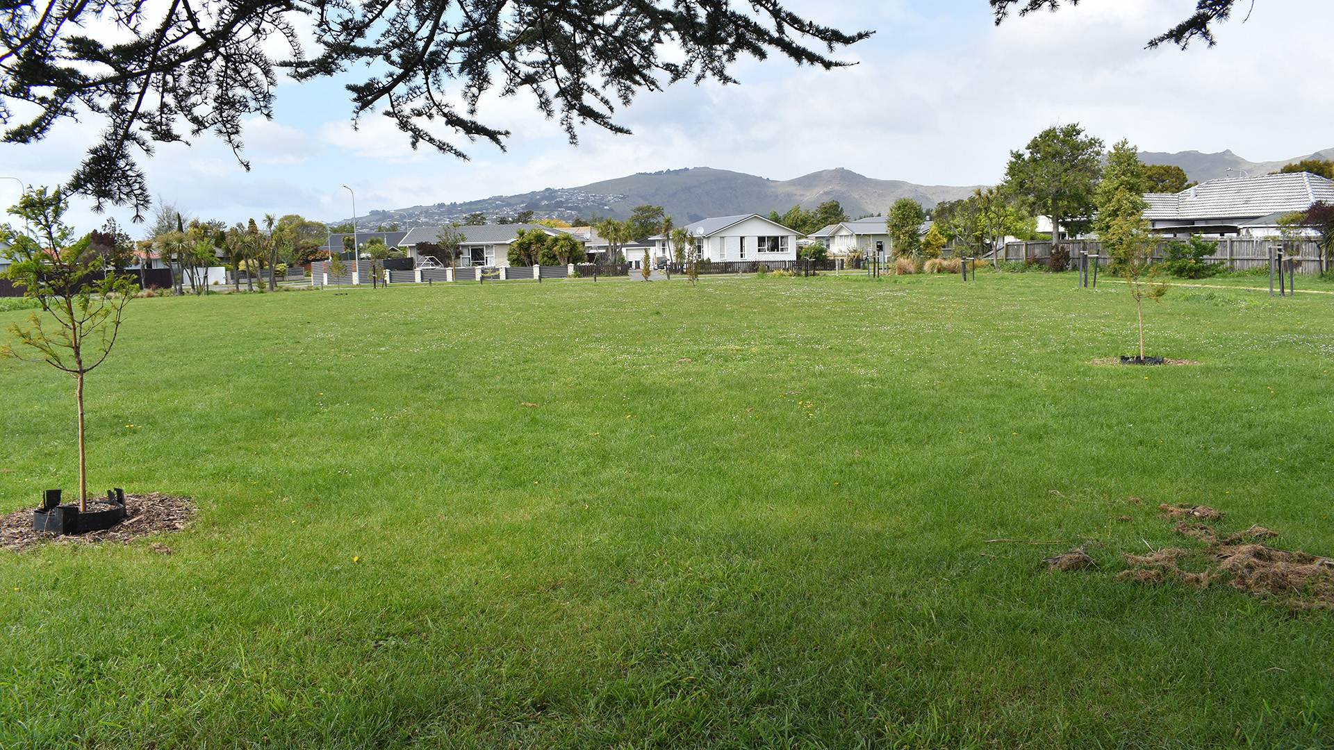 Open suburban park with lawn, young trees and hills in the background