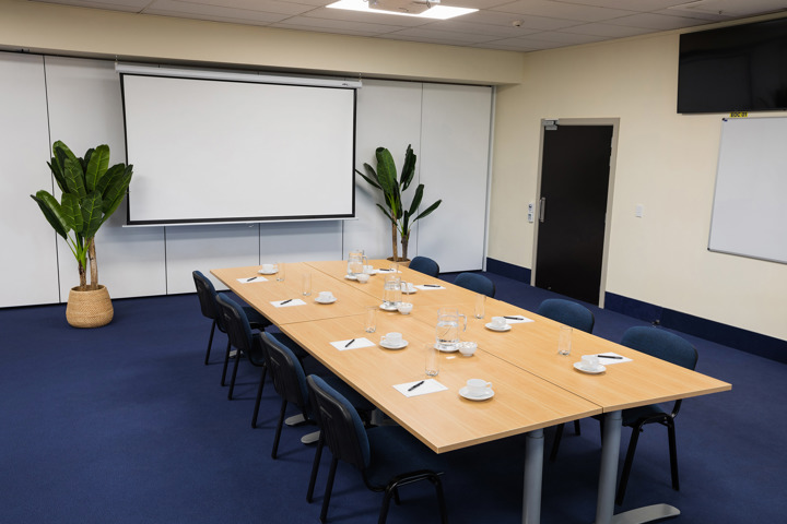 Blue-carpeted meeting room with rectangular table, chairs, projection screen, and two potted plants