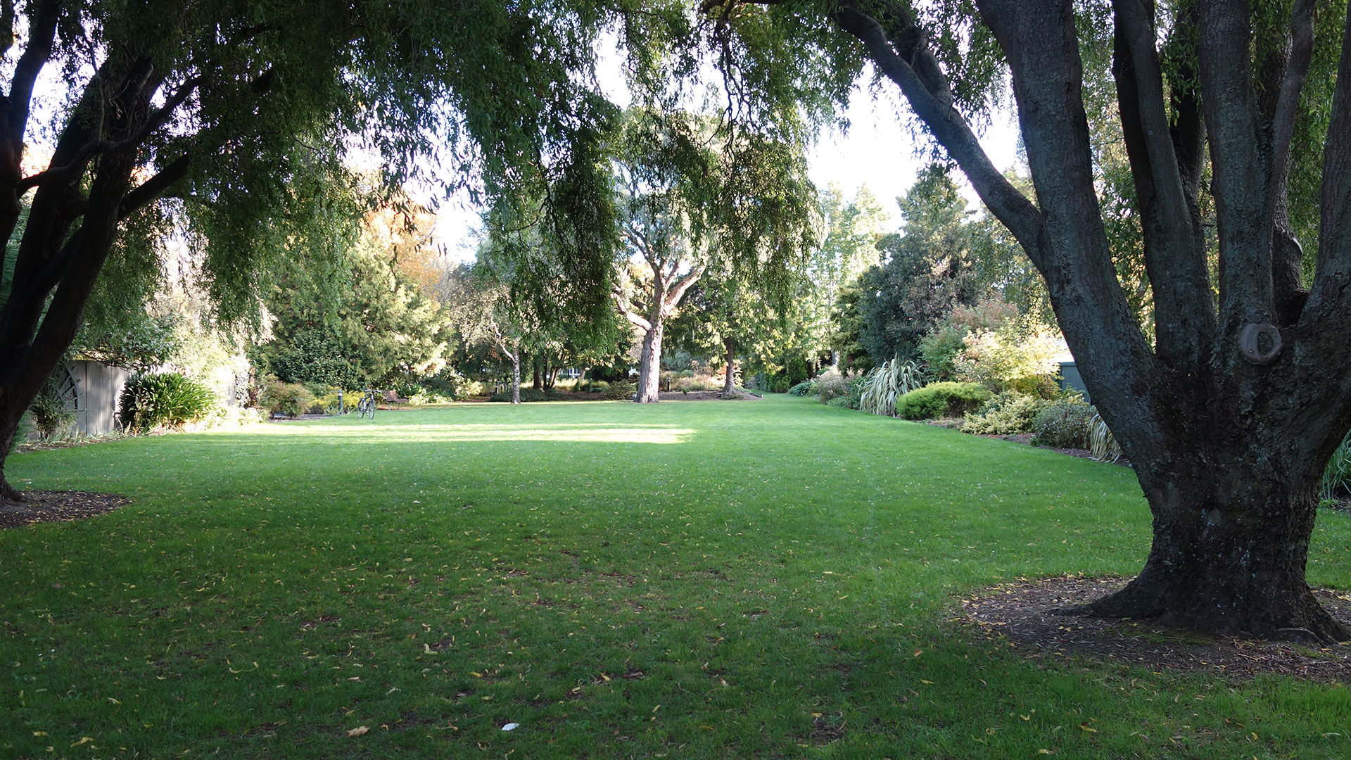 Open grass lawn area surrounded by mature trees