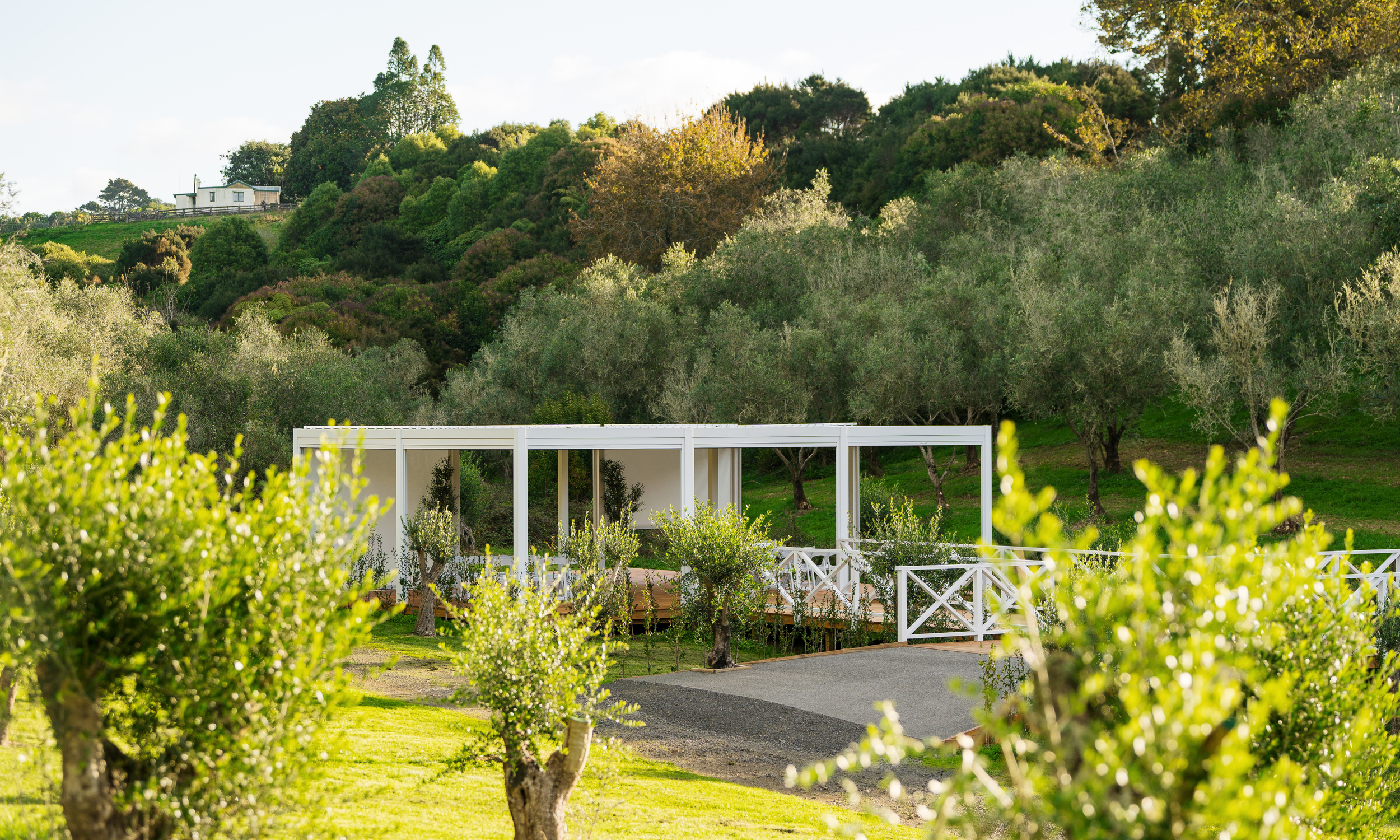 White steel-framed pavilion with glazed sides set among trees on a hillside, lawn and path in foreground