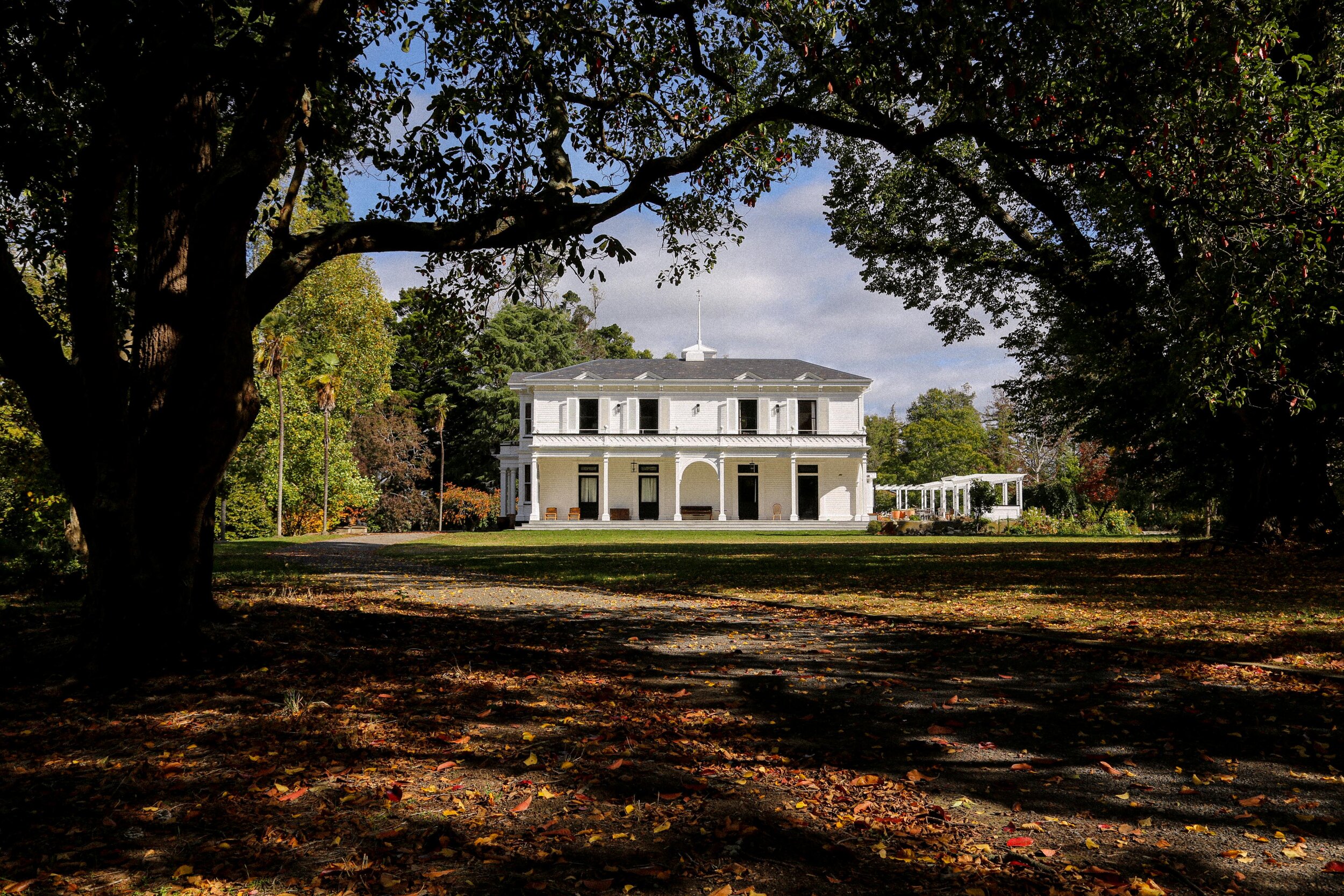 Two-storey white heritage villa seen through large trees in autumn