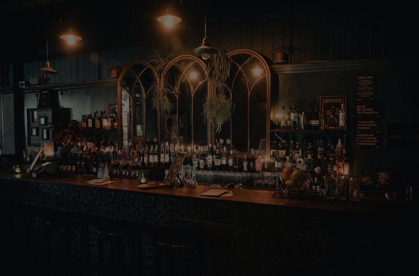 Dark timber bar with arched mirror panel, hanging plants, and rows of bottles