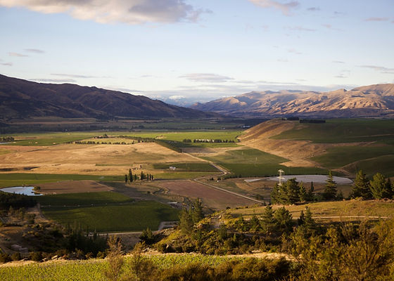 Wide valley landscape with fields, vineyard rows, hills, and distant snow-capped mountains