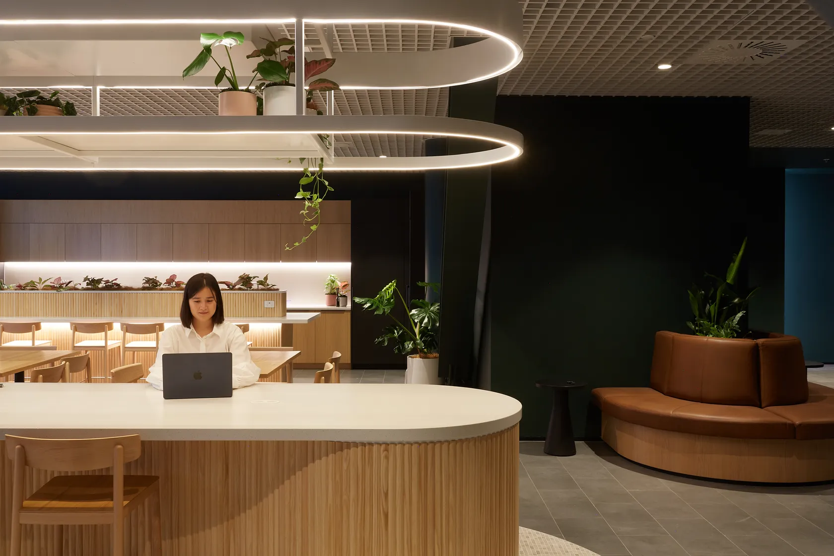 Contemporary open-plan workspace with curved timber reception counter, oval pendant lights, and hanging plants
