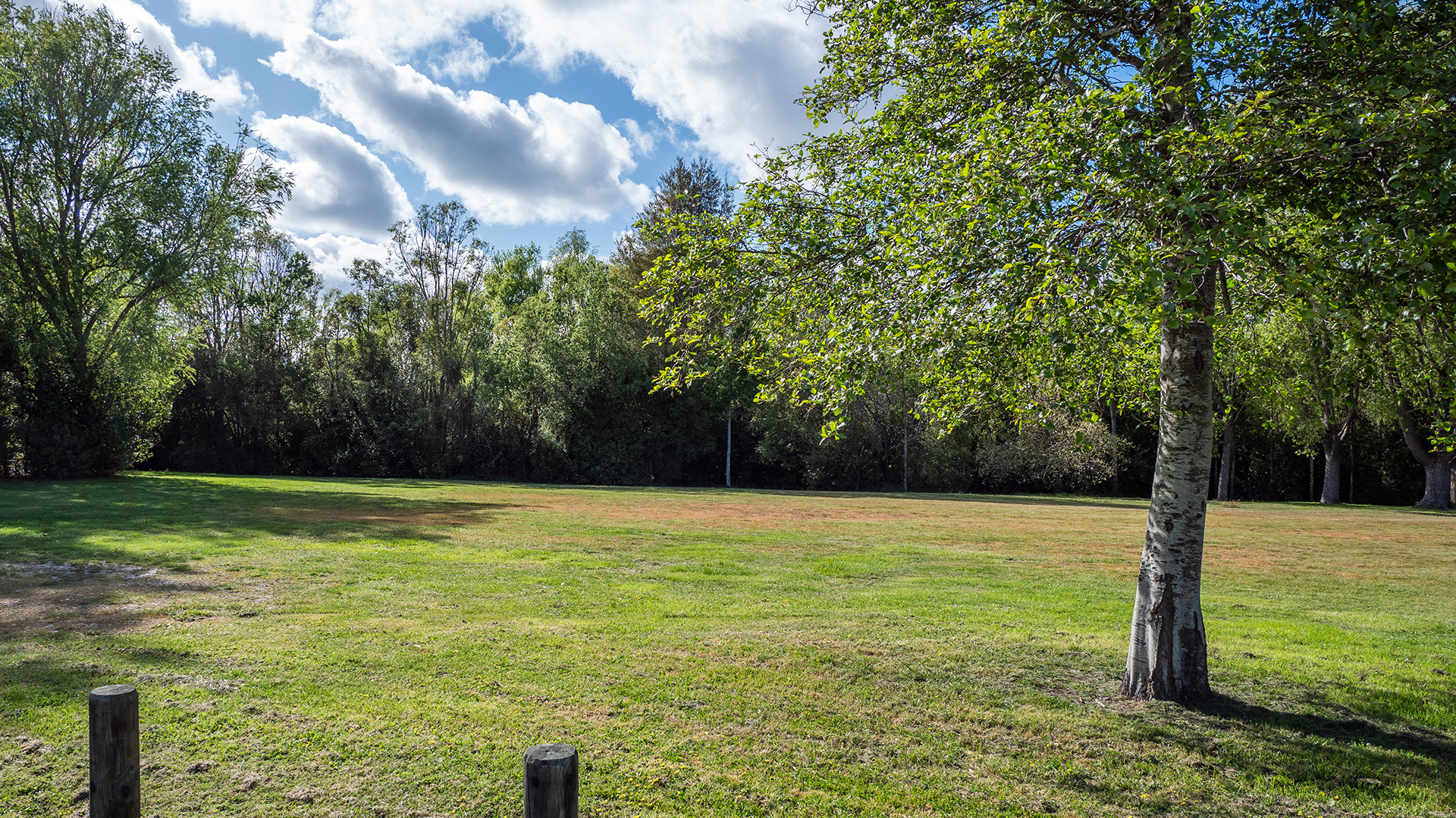 Grassy park clearing with trees and a path at the edge
