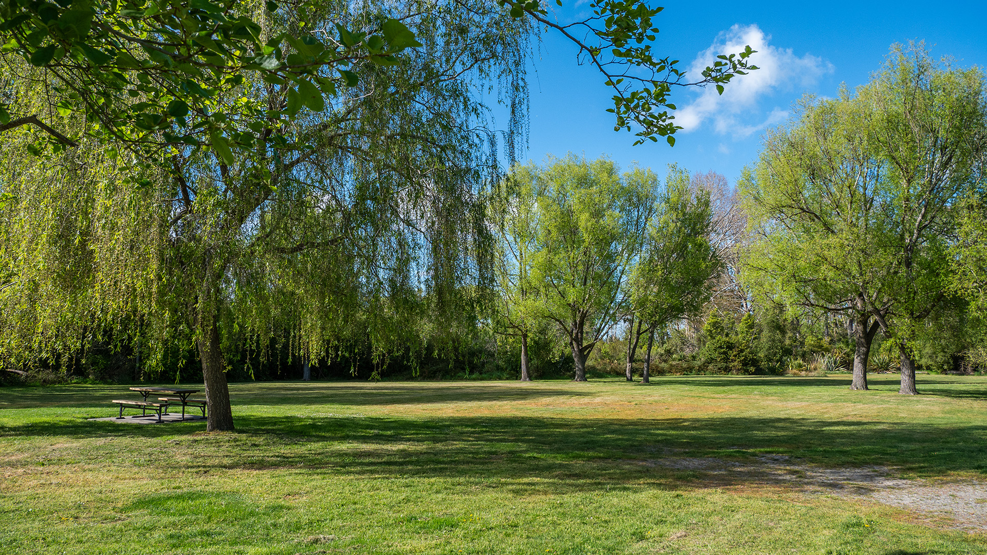 Grassy park area with trees and a picnic bench in dappled shade