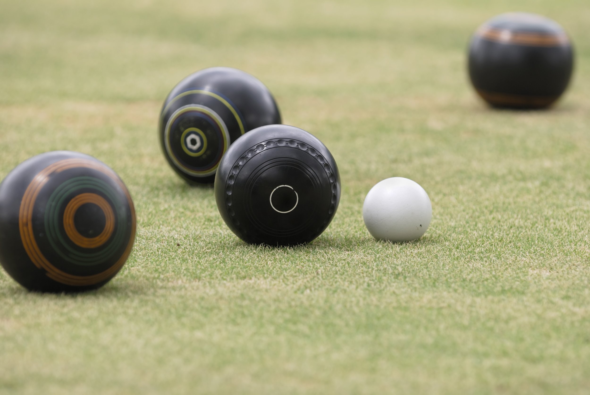 Lawn bowls balls clustered around a jack on a green