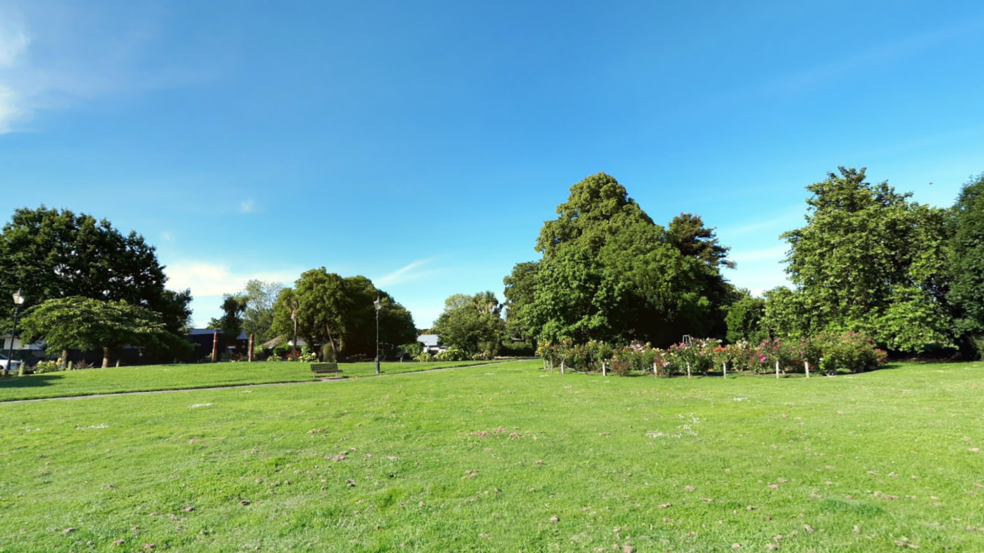 Open park lawn with mature trees and flowering garden bed