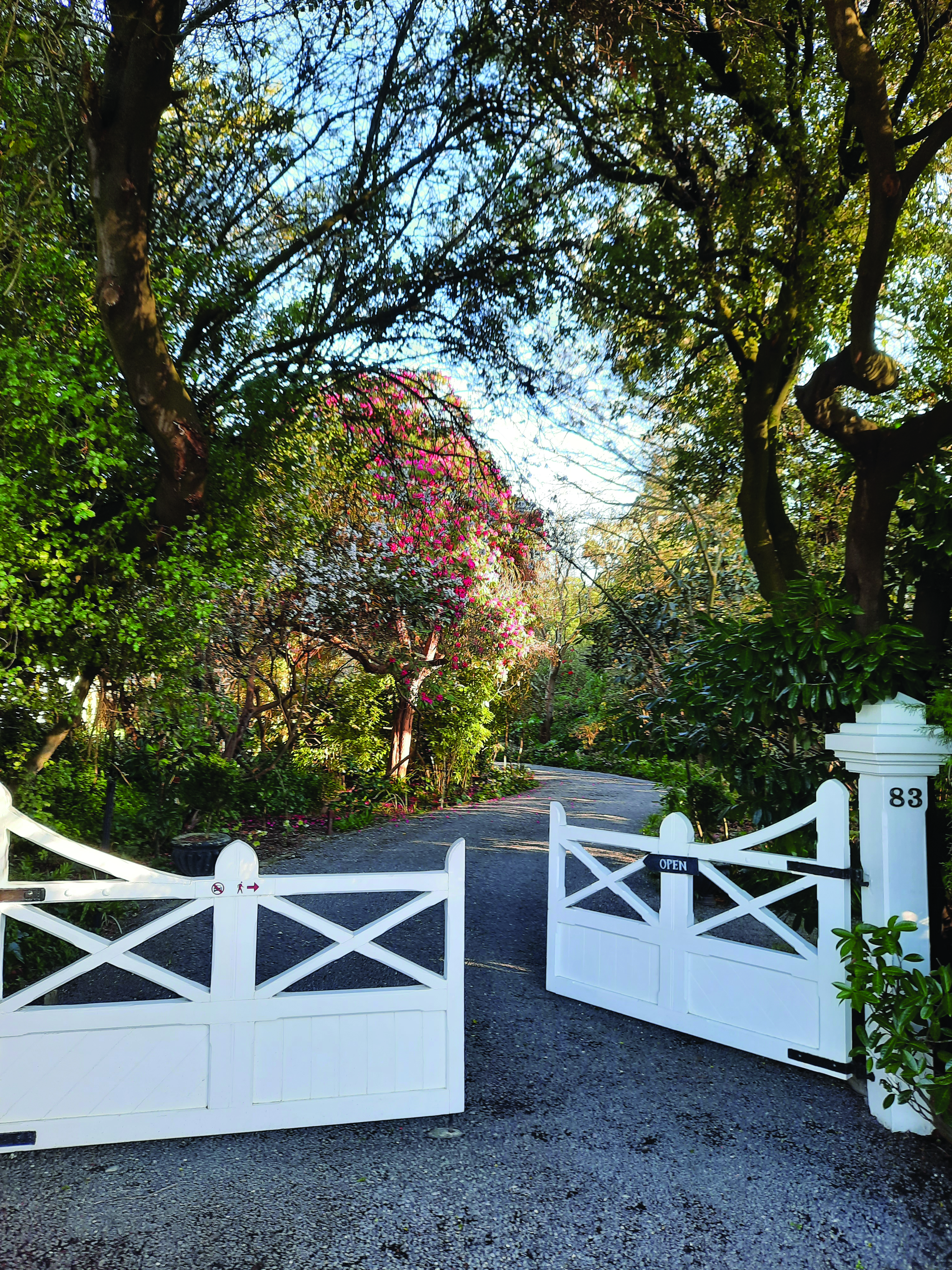 White timber gates opening to a tree-lined driveway with flowering shrubs and foliage
