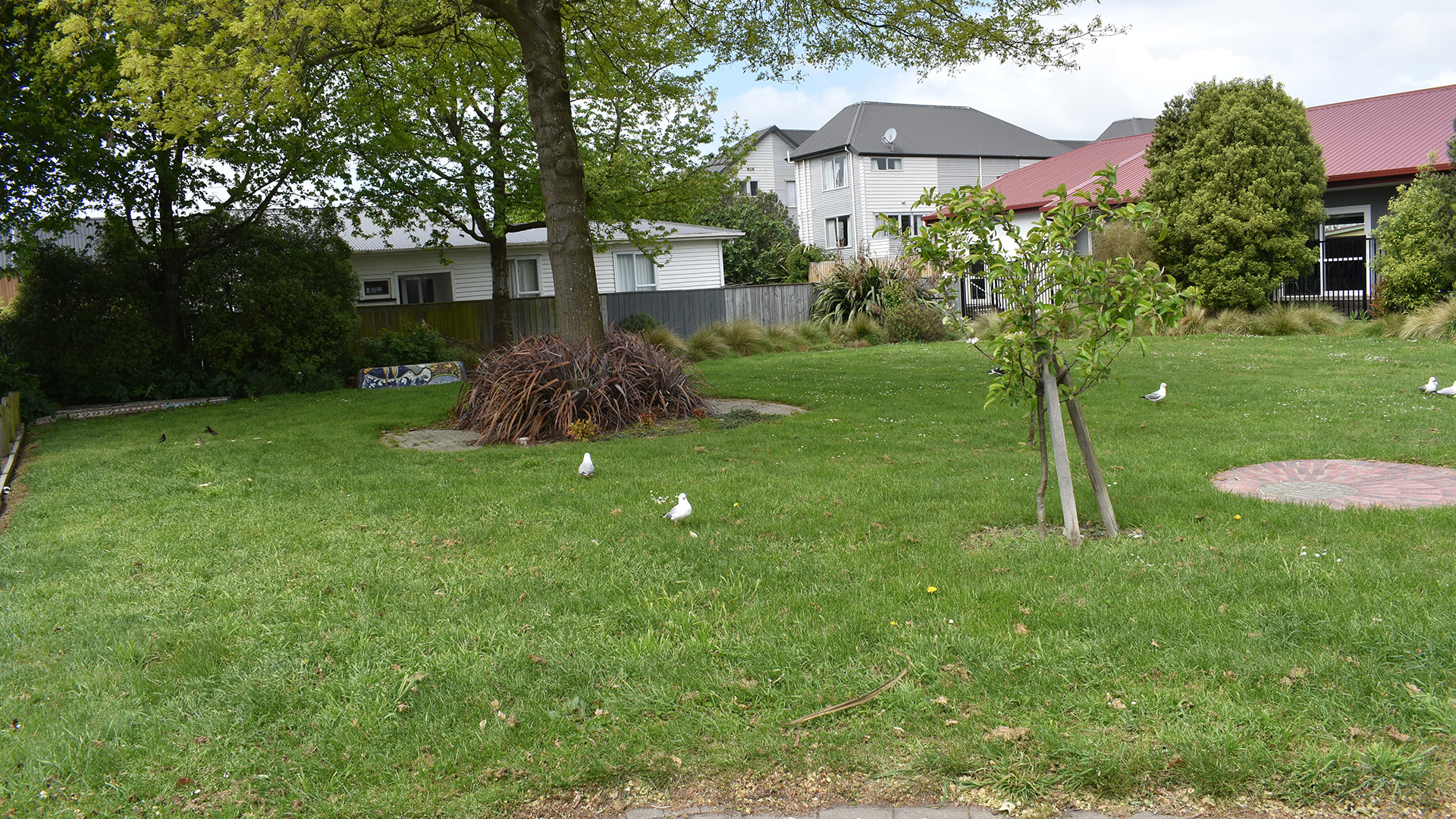 Suburban park with lawn, trees and residential buildings nearby