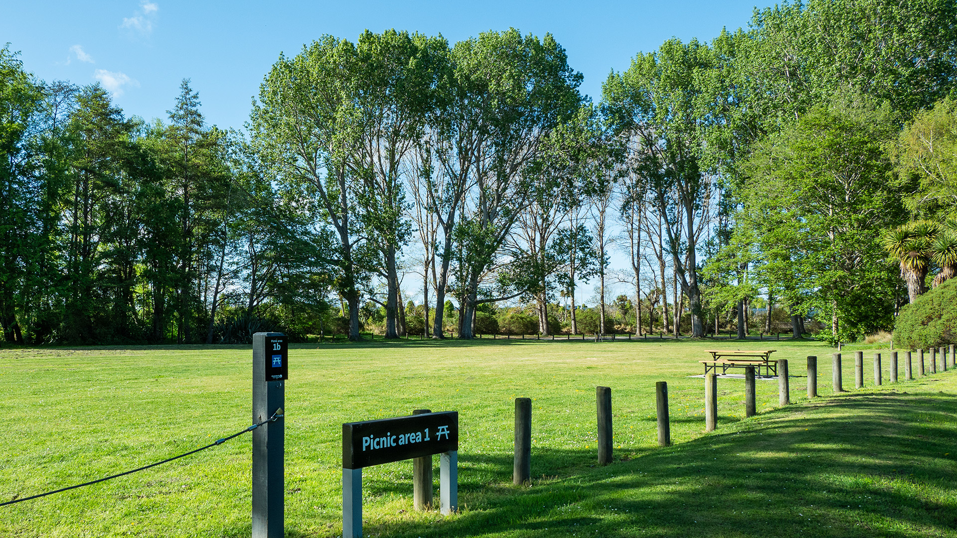 Open grassy clearing surrounded by tall trees in a park