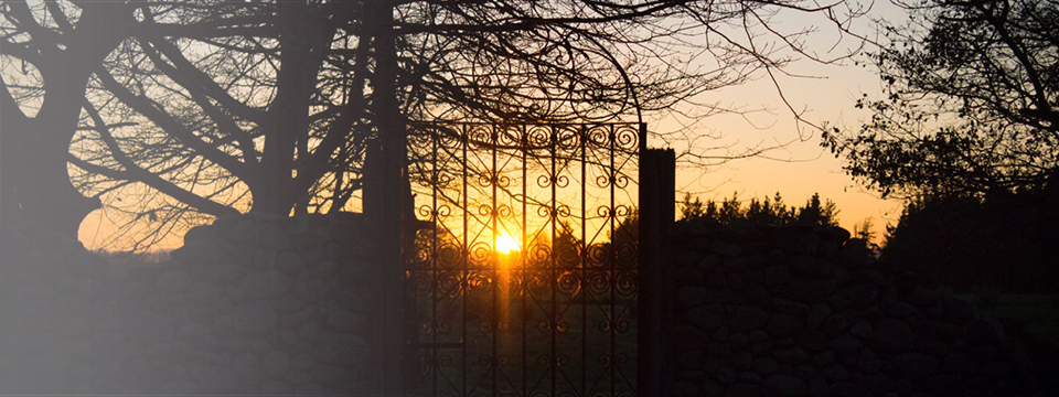 Ornate wrought-iron estate gate silhouetted against a winter sunset