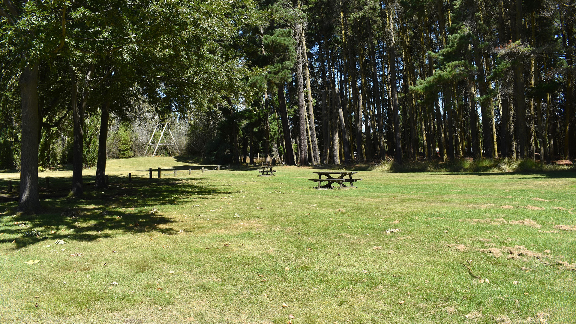 Grassed picnic area with tables set among tall trees