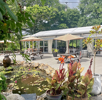 Pond with garden plantings and a marquee structure in the background