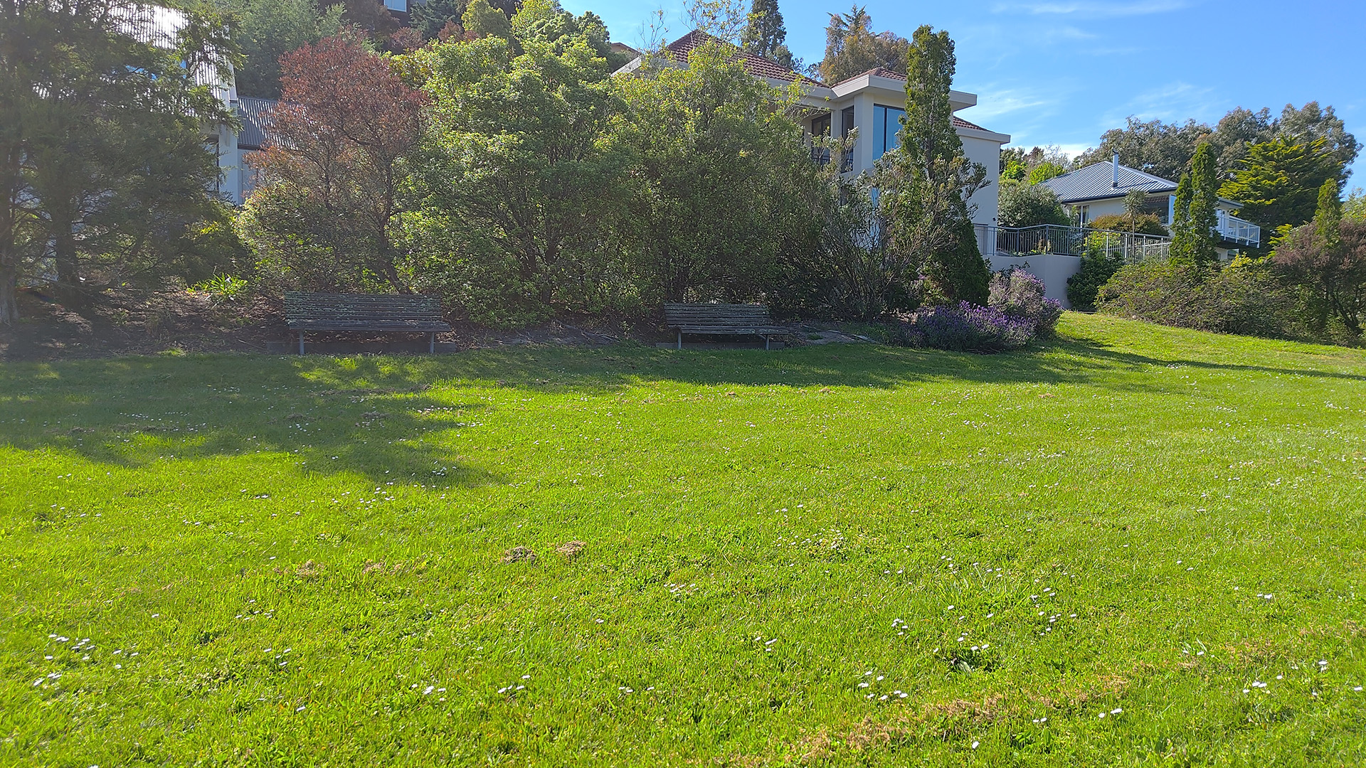 Grassed reserve with lawn, garden beds and residential buildings behind