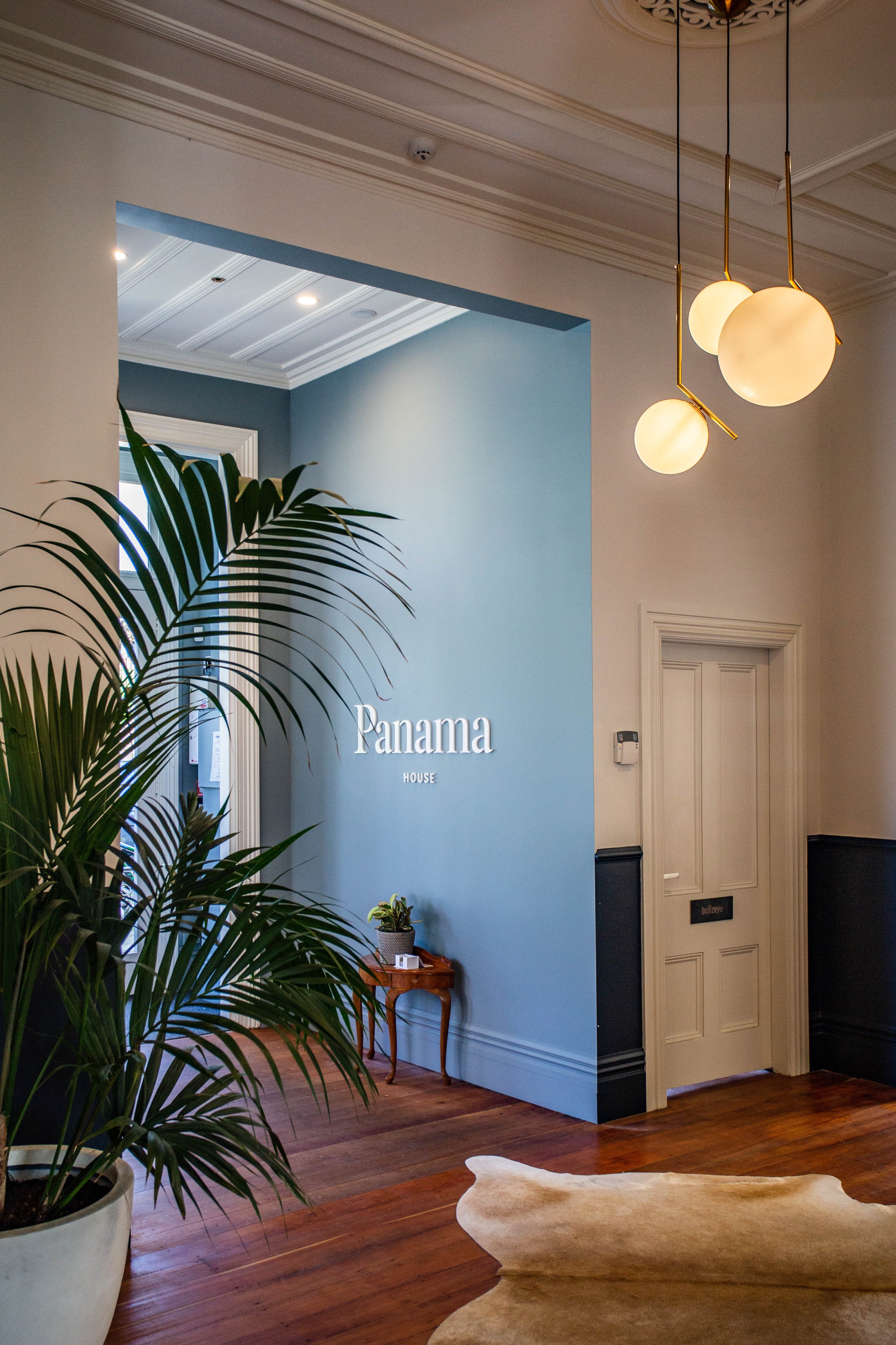 Blue-accented hallway with large potted plant, pendant lights, and view through to white-panelled door