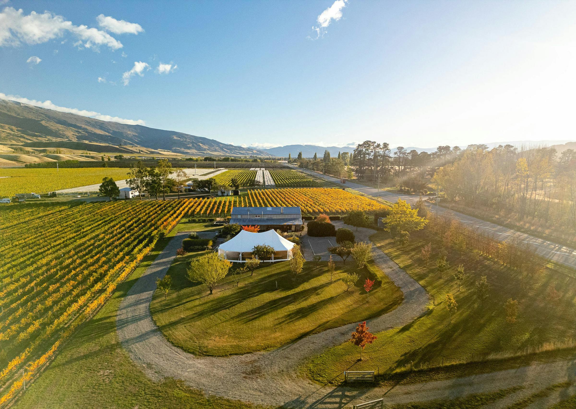 Aerial view of a white event marquee and low building set among autumn vineyards with hills behind
