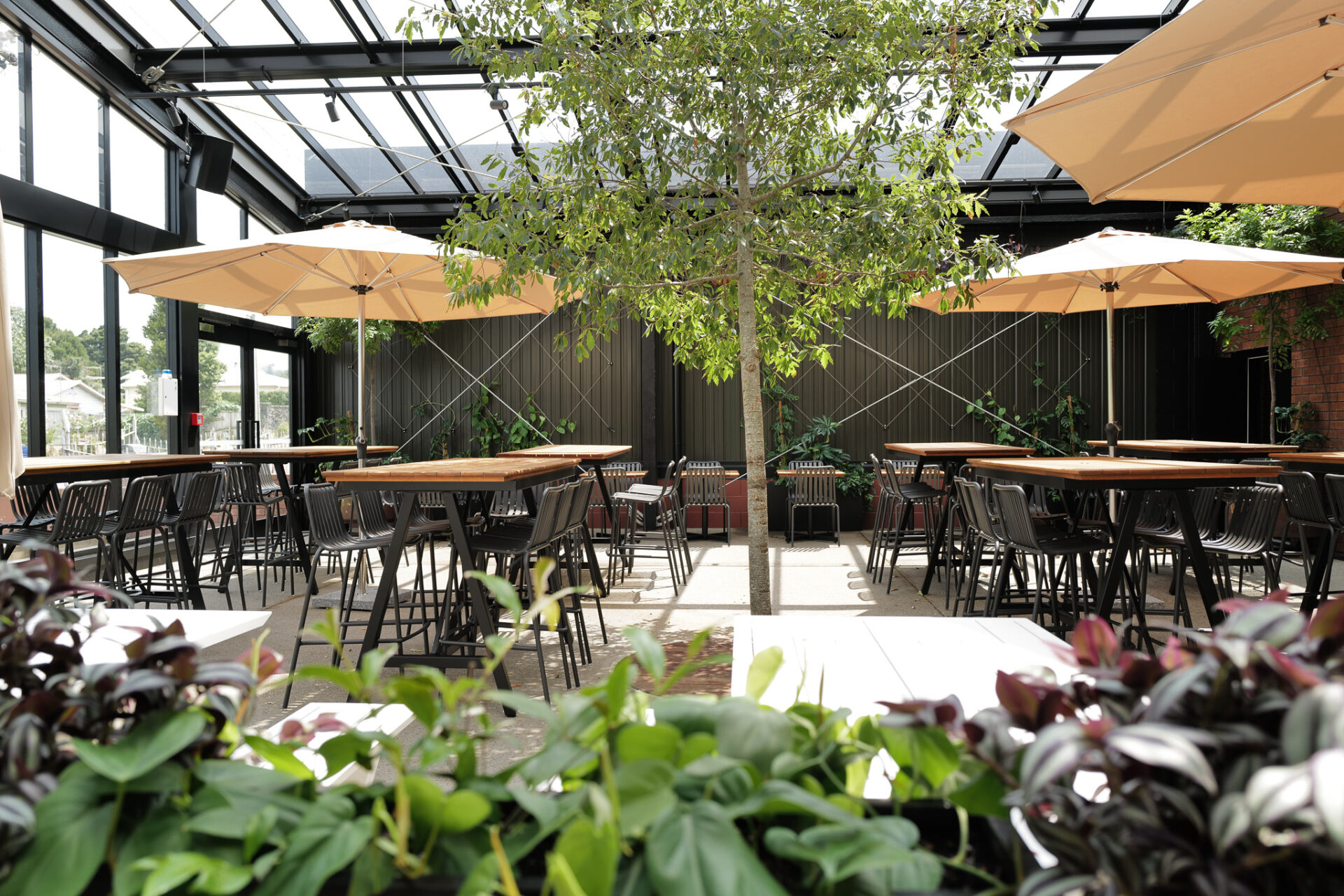 Glass-roofed atrium dining area with timber tables, black chairs and trees growing inside