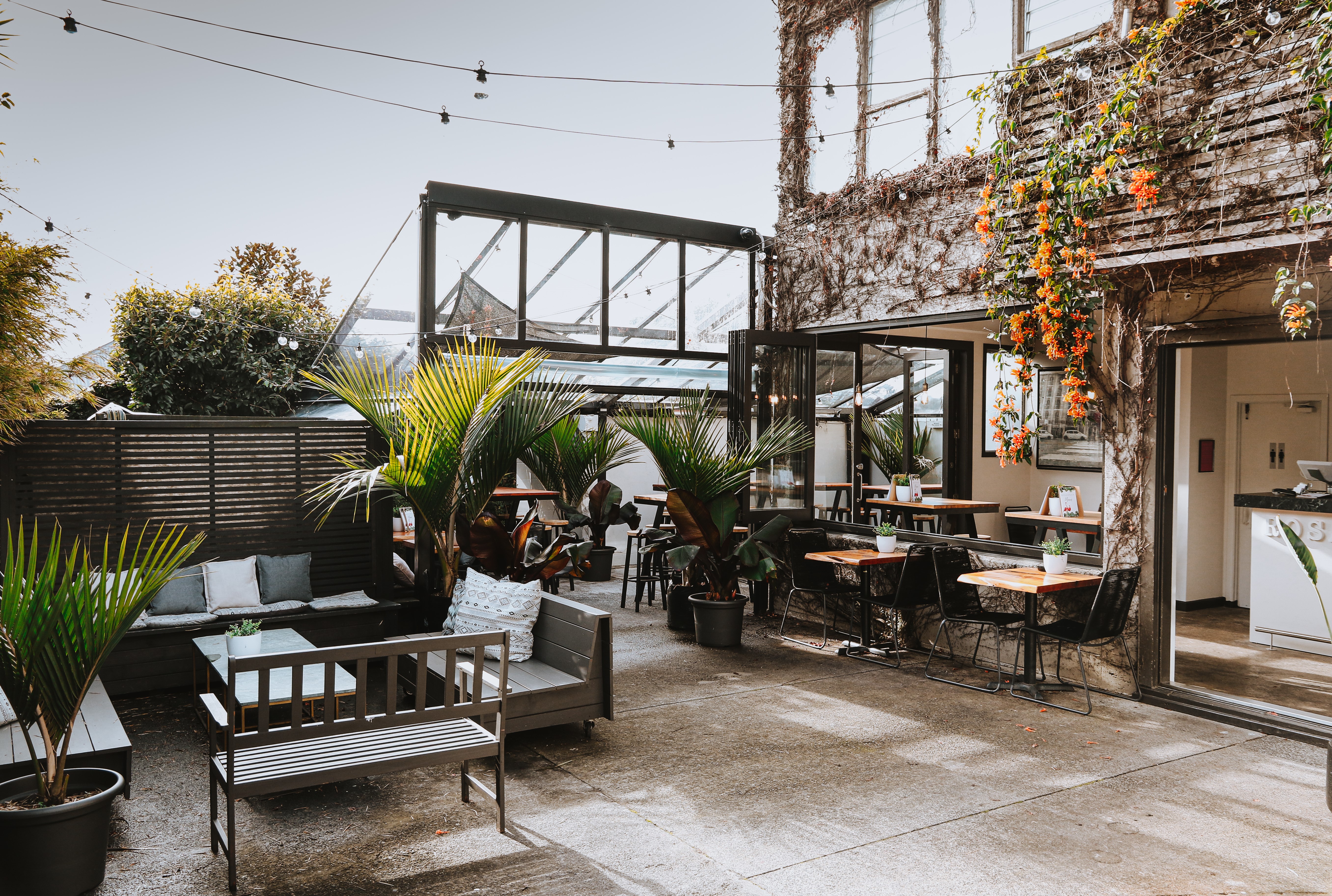 Covered courtyard with outdoor seating, large plants and climbing foliage on walls