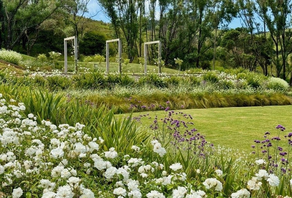 Landscaped gardens with white flower borders, ornamental grasses and timber arch frames on a lawn