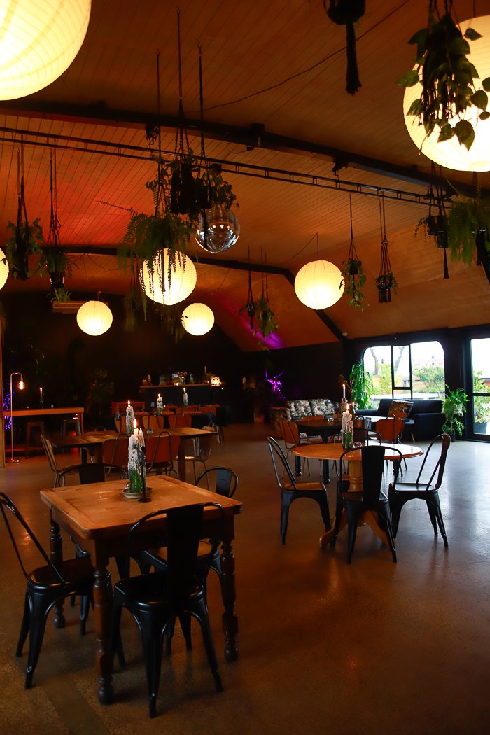 Dark-ceilinged bar venue with hanging plants, globe pendants and timber furniture