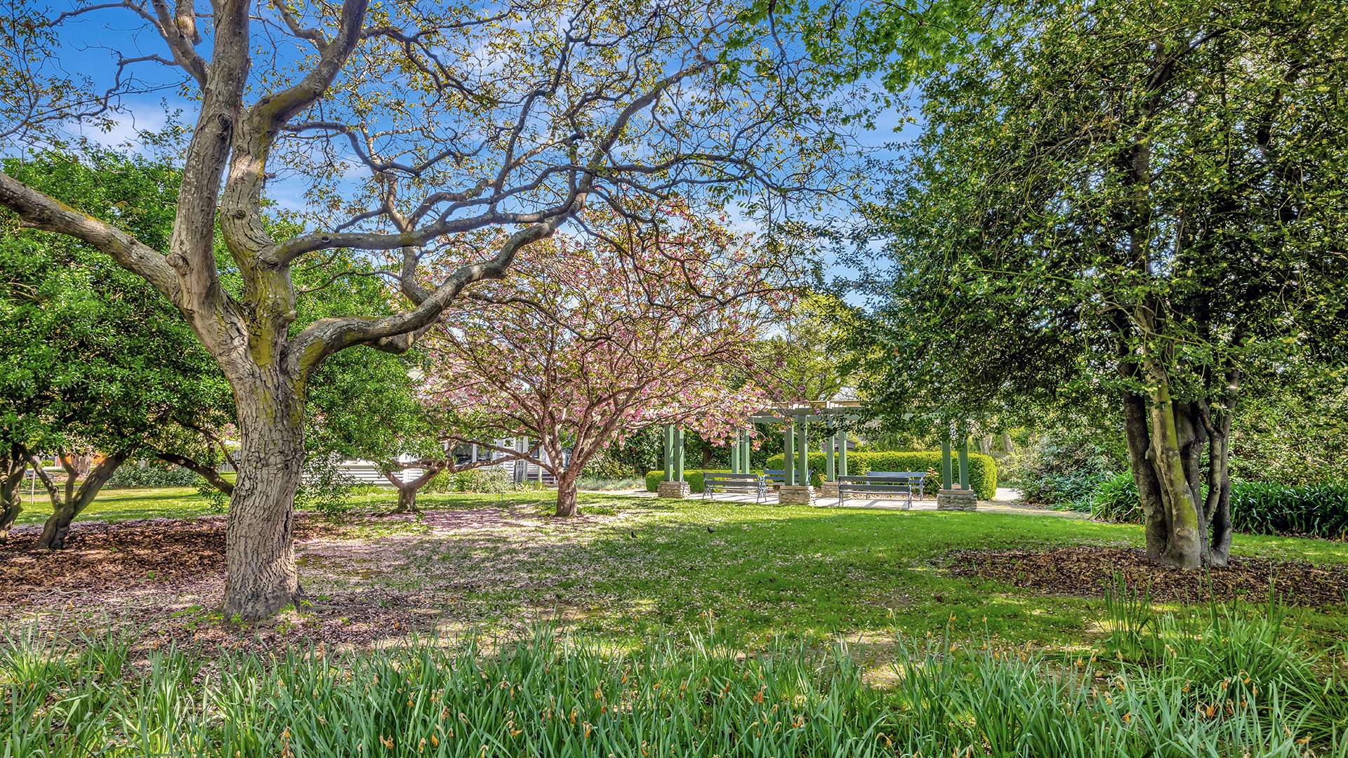Park garden with mature trees and a pergola structure in the background
