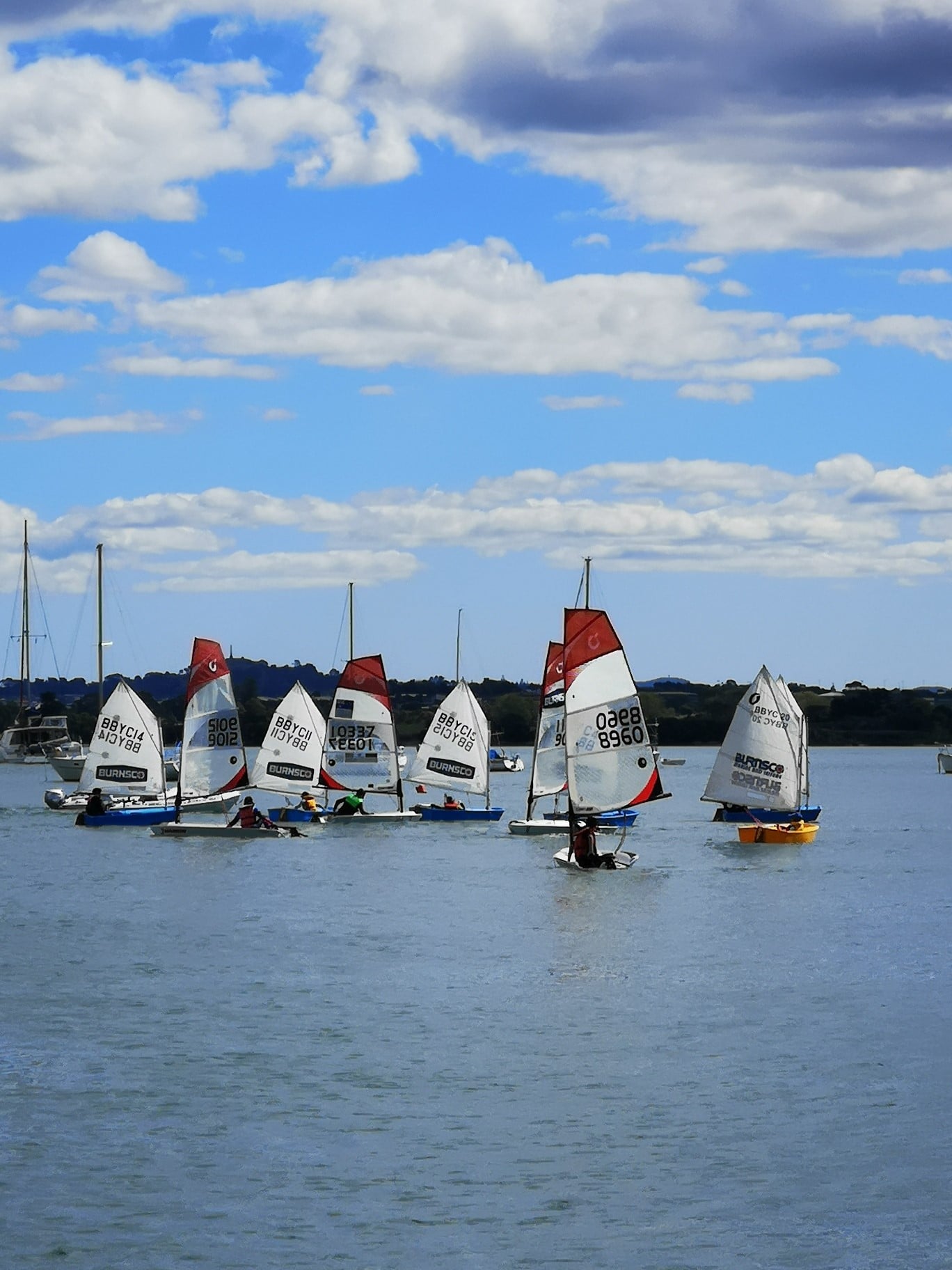 Aerial view of yacht club building on marina with moored boats