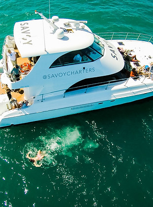 White motor vessel viewed from above on open water, with people on deck