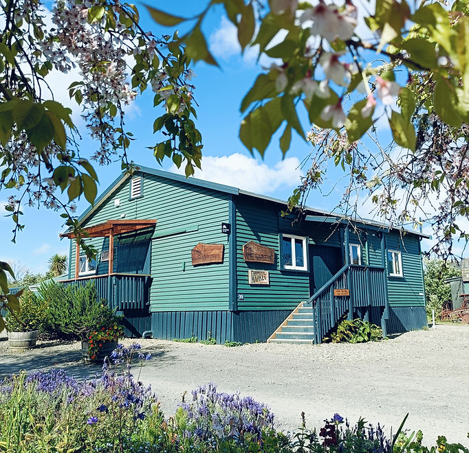 Green painted corrugated iron shed with covered entrance steps and flowering garden border