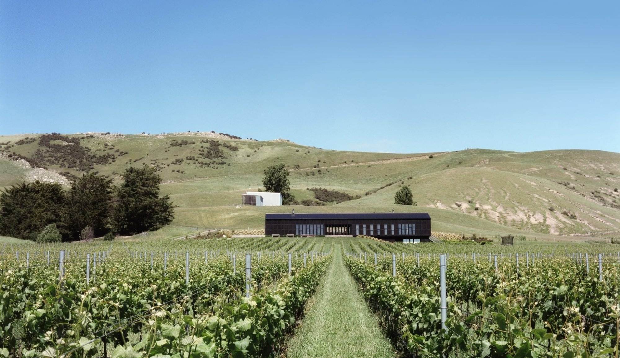 Dark pavilion building set in vineyard rows with rolling hills beyond